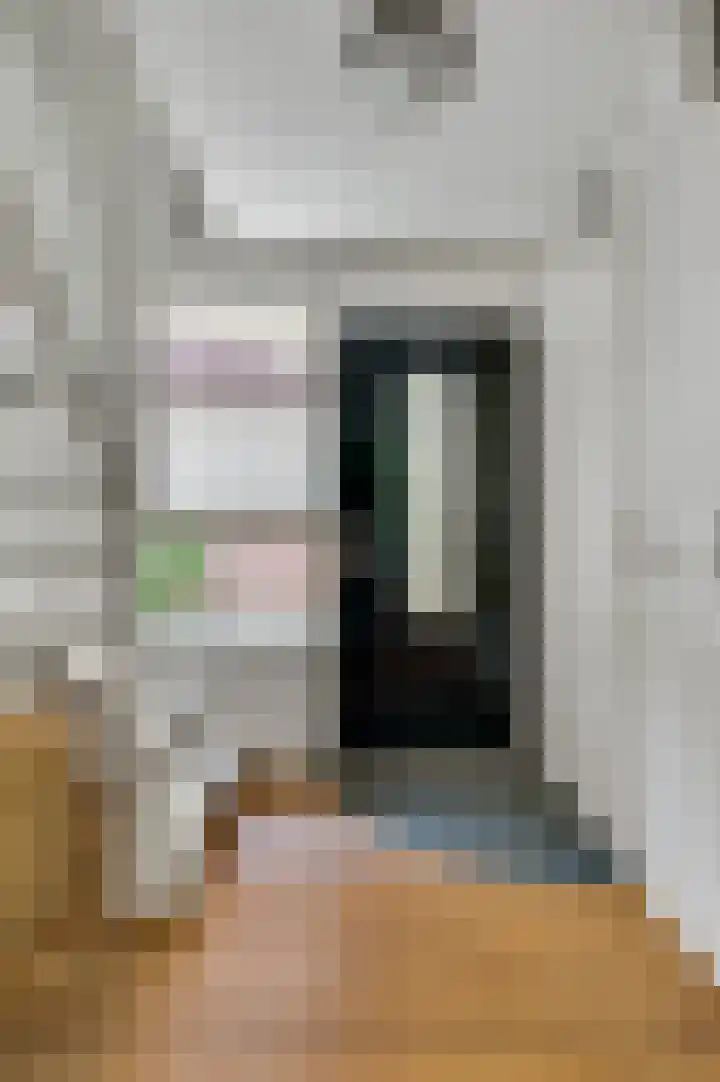 Jankushofstraat 16 Weert thumbnail 8