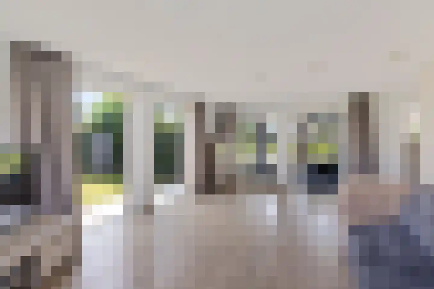 Jannahoeve 2 Joure thumbnail 19
