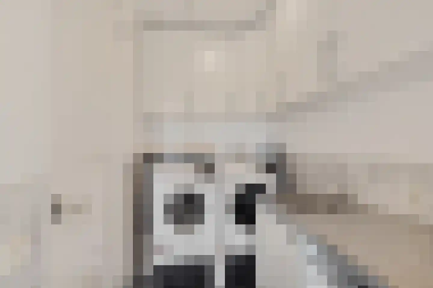 Jannahoeve 2 Joure thumbnail 28