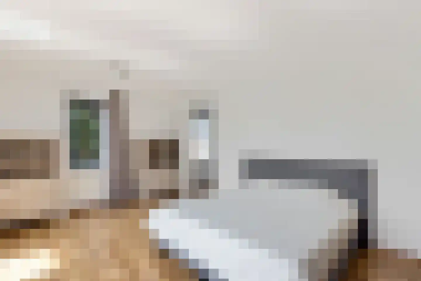 Jannahoeve 2 Joure thumbnail 36