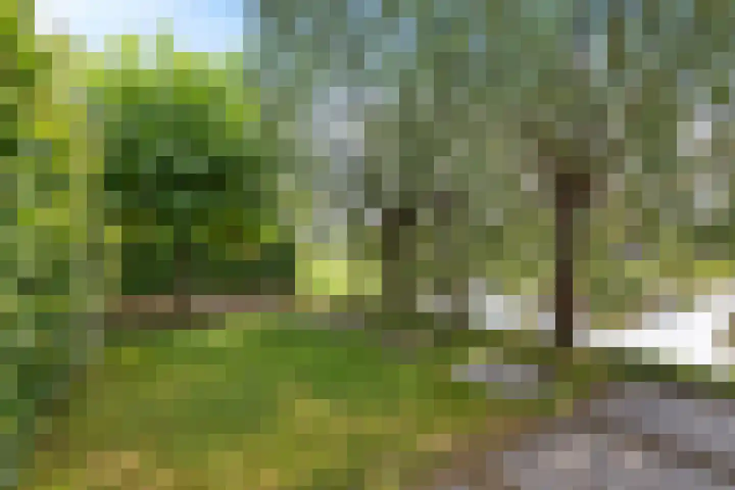 Jannahoeve 2 Joure thumbnail 47