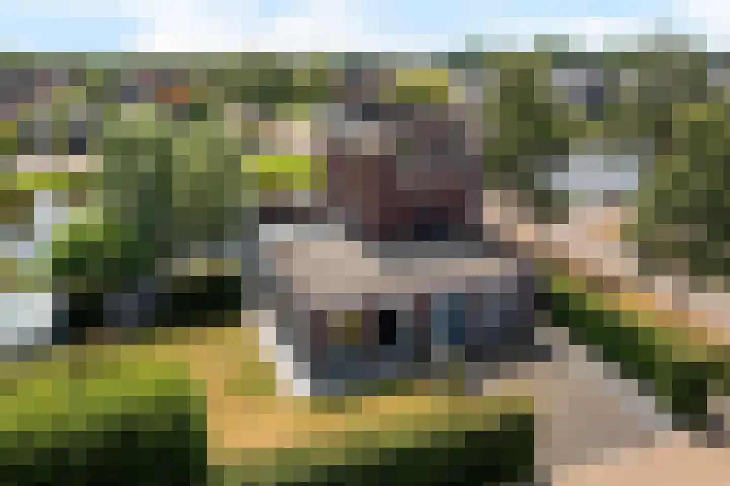 Jannahoeve 2 Joure thumbnail 5