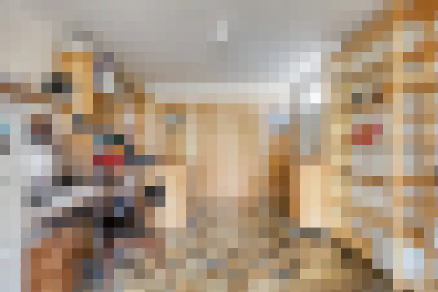 Jannelandseweg 17 Halsteren thumbnail 13