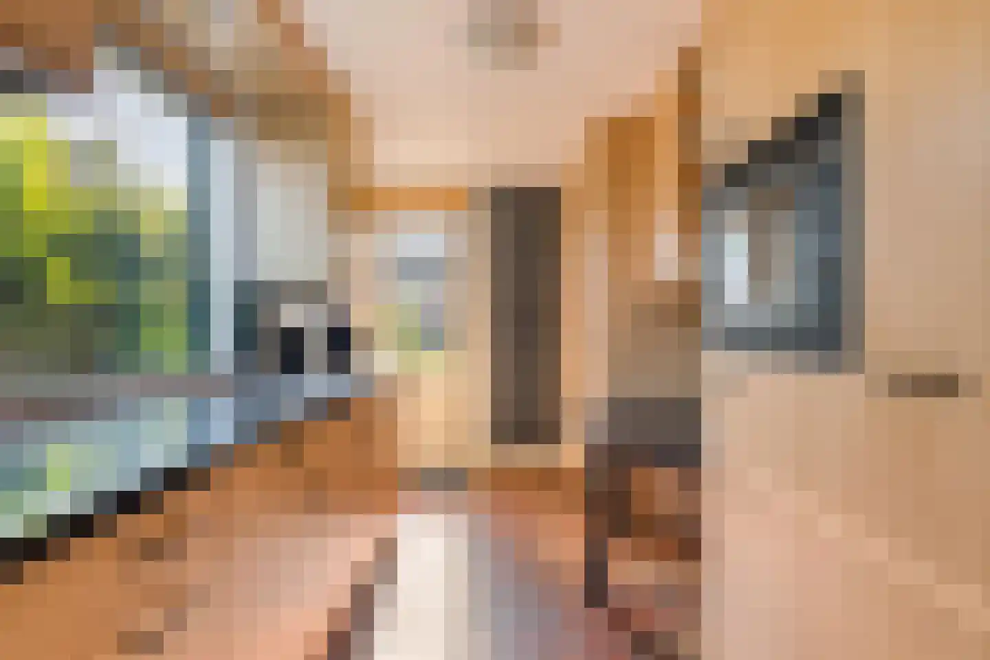 Jannelandseweg 17 Halsteren thumbnail 14