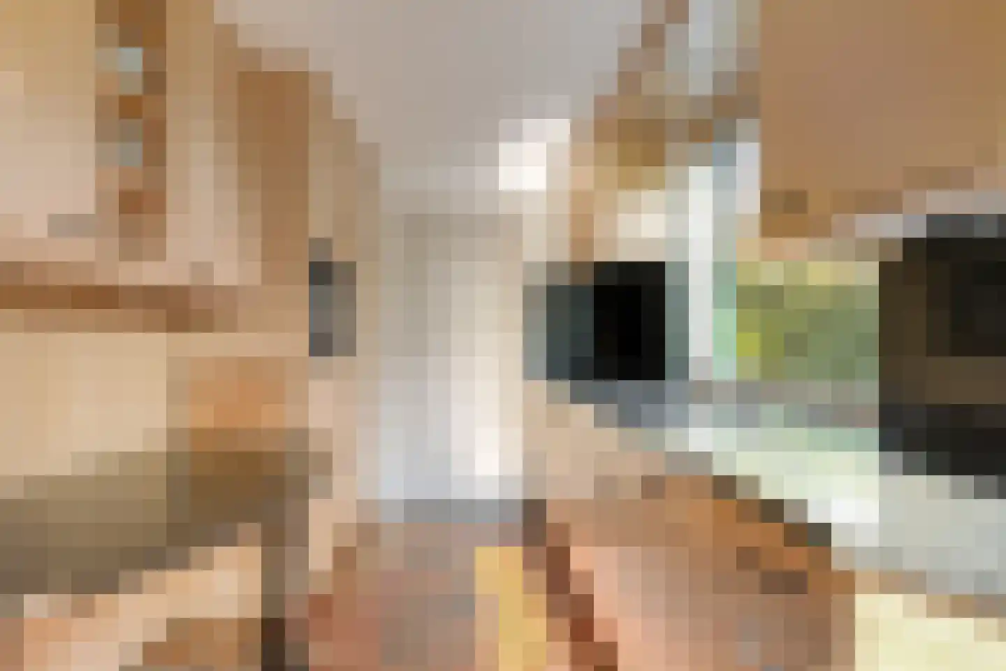 Jannelandseweg 17 Halsteren thumbnail 15