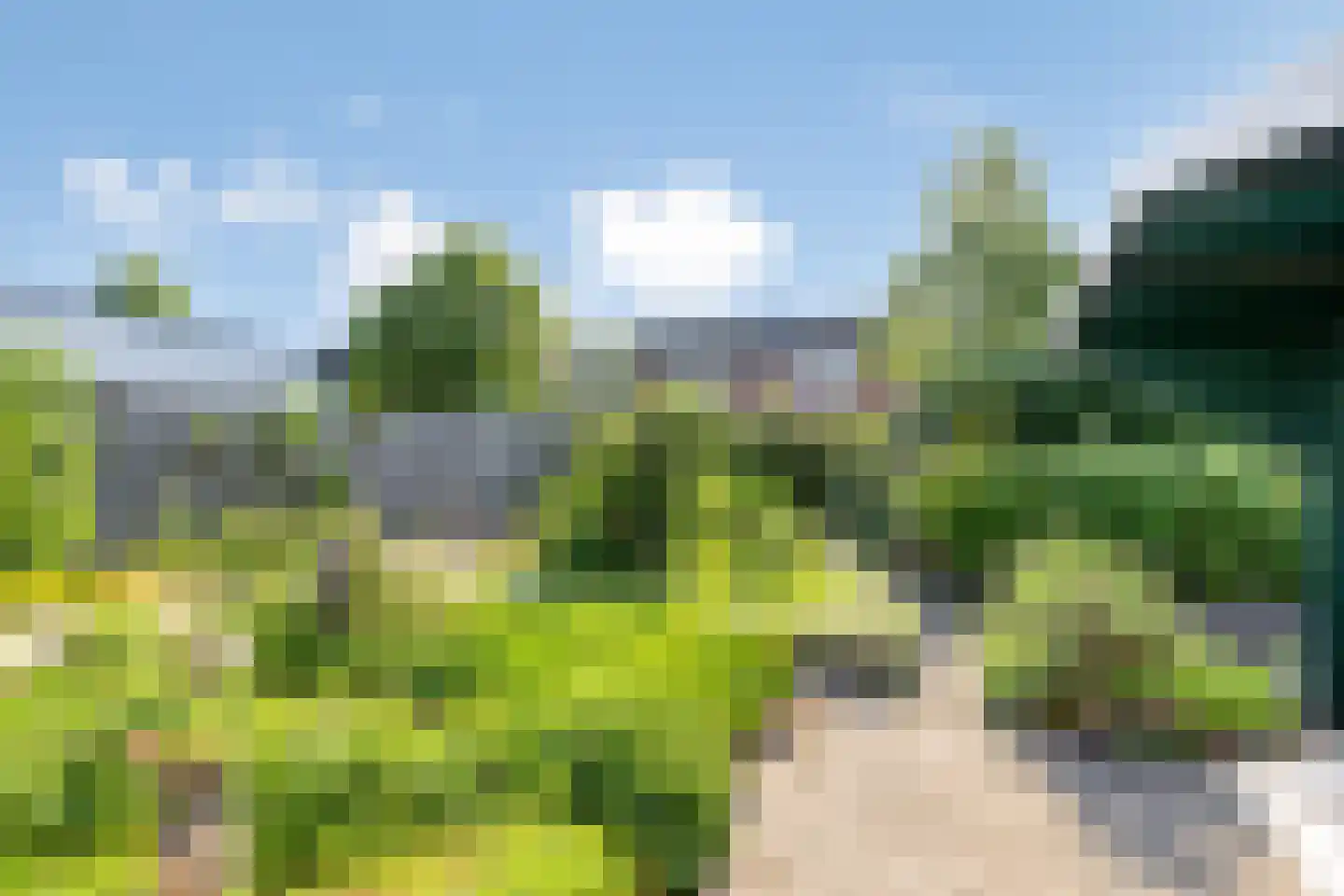 Jannelandseweg 17 Halsteren thumbnail 25