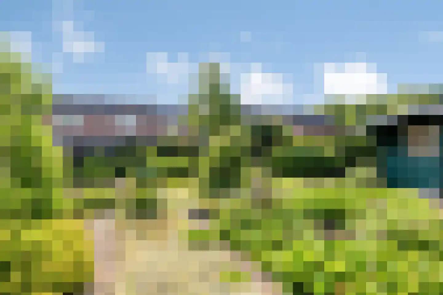 Jannelandseweg 17 Halsteren thumbnail 26