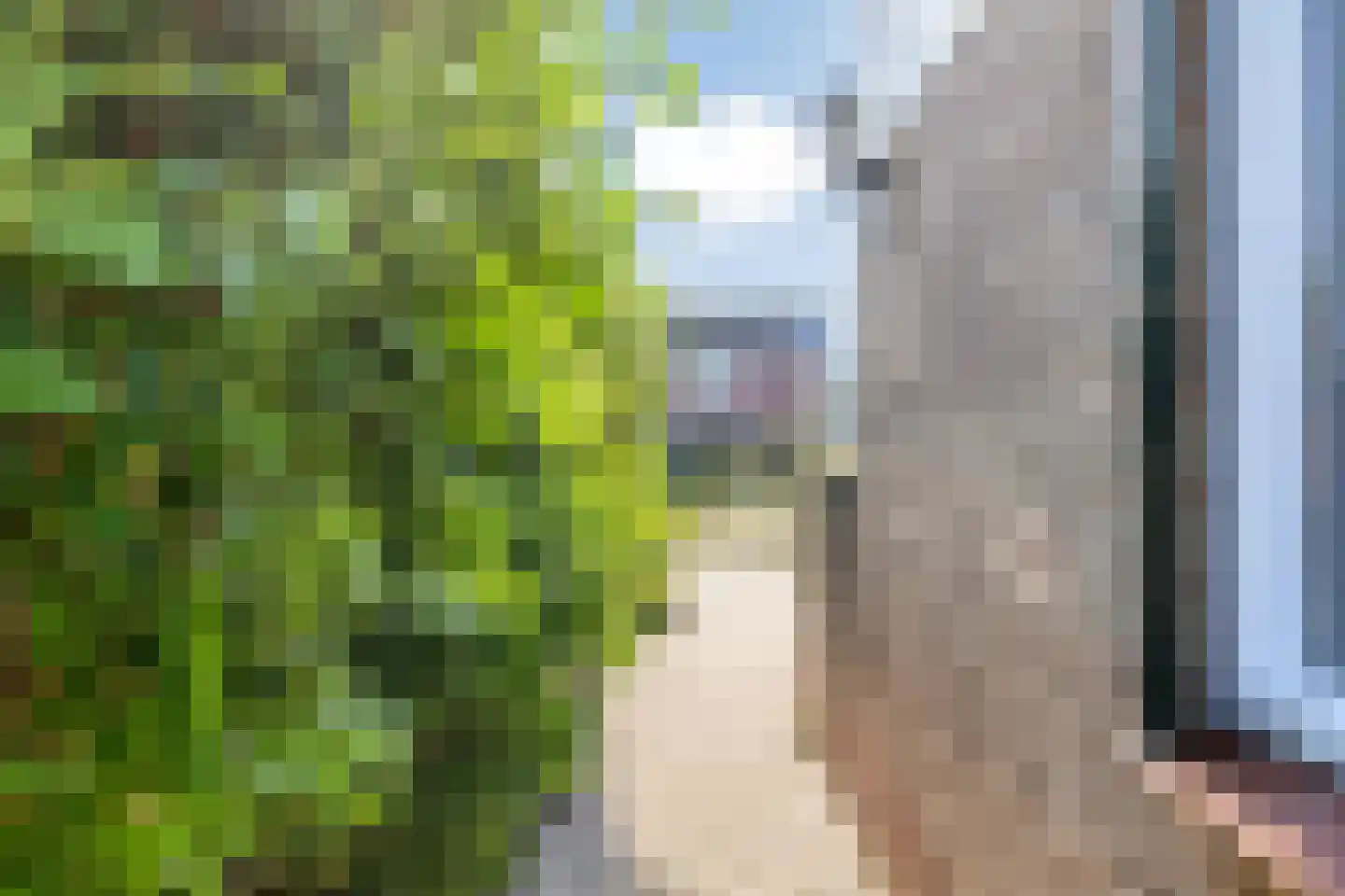 Jannelandseweg 17 Halsteren thumbnail 30
