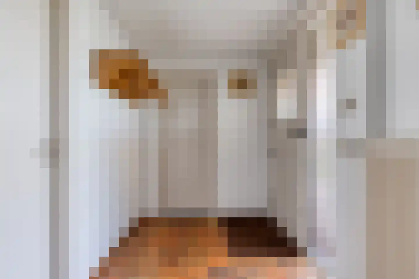 Jannelandseweg 17 Halsteren thumbnail 6