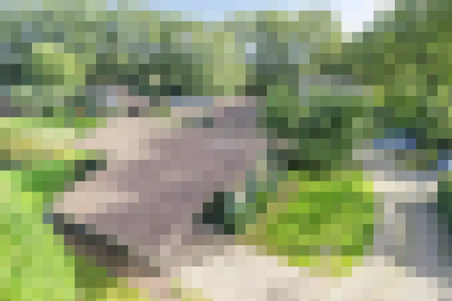 Jannes Brugginkweg 3 16 Hoogersmilde thumbnail 42