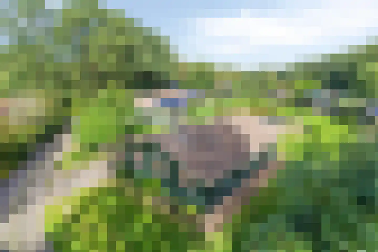 Jannes Brugginkweg 3 16 Hoogersmilde thumbnail 43