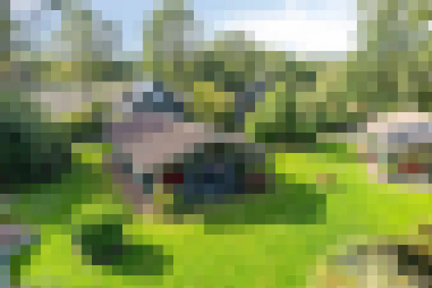 Jannes Brugginkweg 3 16 Hoogersmilde thumbnail 5