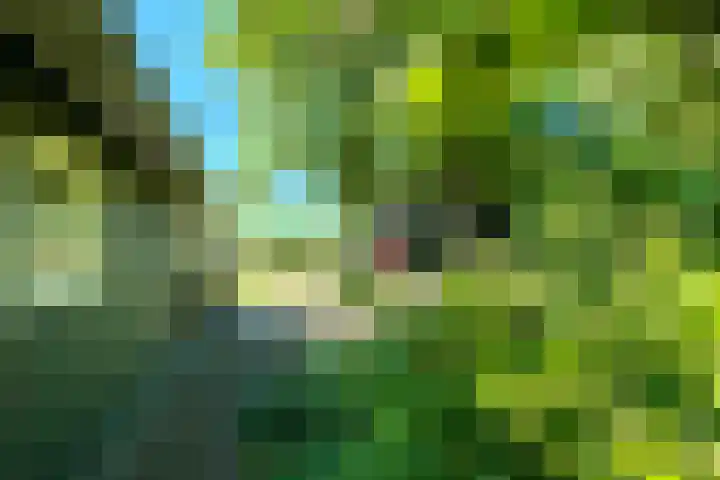 Jannes Brugginkweg 3 32 Hoogersmilde thumbnail 5