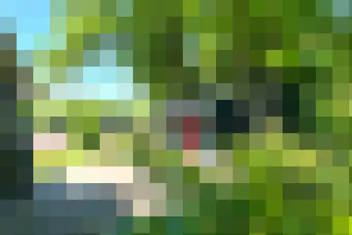 Jannes Brugginkweg 3 32 Hoogersmilde thumbnail 6