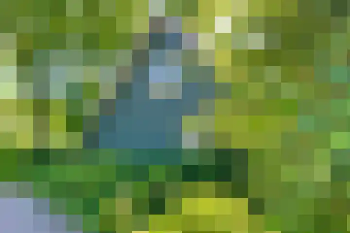 Jannes Brugginkweg 3 32 Hoogersmilde thumbnail 7