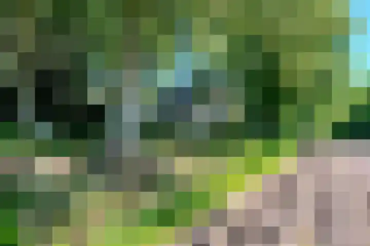 Jannes Brugginkweg 3 32 Hoogersmilde thumbnail 9