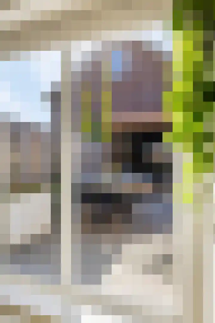 Jannes de Vriesstraat 22 Ten Boer thumbnail 24