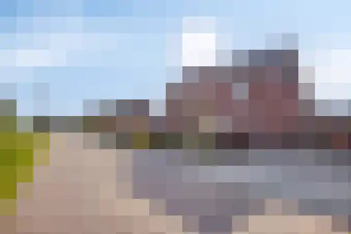 Jannes de Vriesstraat 22 Ten Boer thumbnail 5