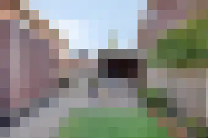 Jannes de Vriesstraat 22 Ten Boer thumbnail 55