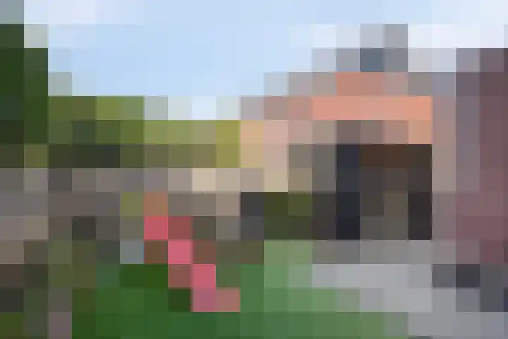 Jannes de Vriesstraat 22 Ten Boer thumbnail 56