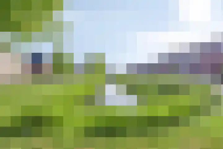 Jannes de Vriesstraat 22 Ten Boer thumbnail 6