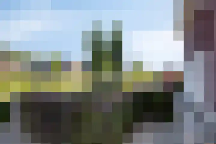 Jannes de Vriesstraat 22 Ten Boer thumbnail 9