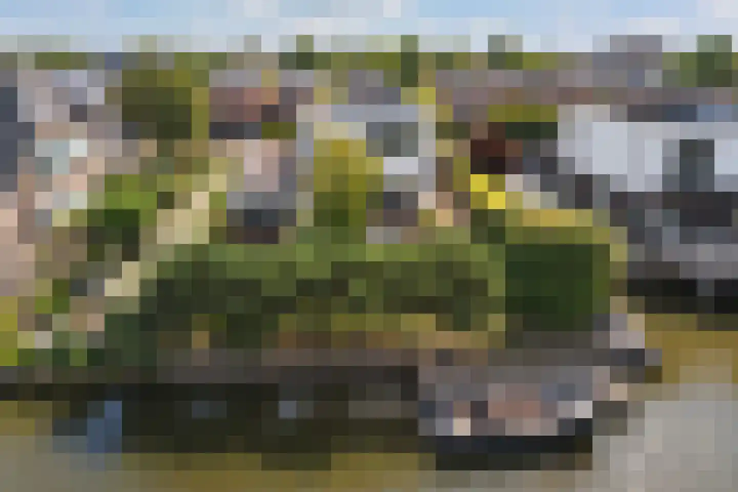Jannetje Merbiskade 19 in Rotterdam