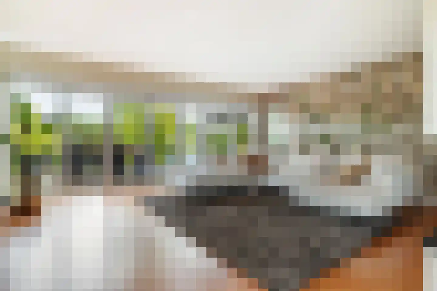Jannetje Merbiskade 19 Rotterdam thumbnail 11
