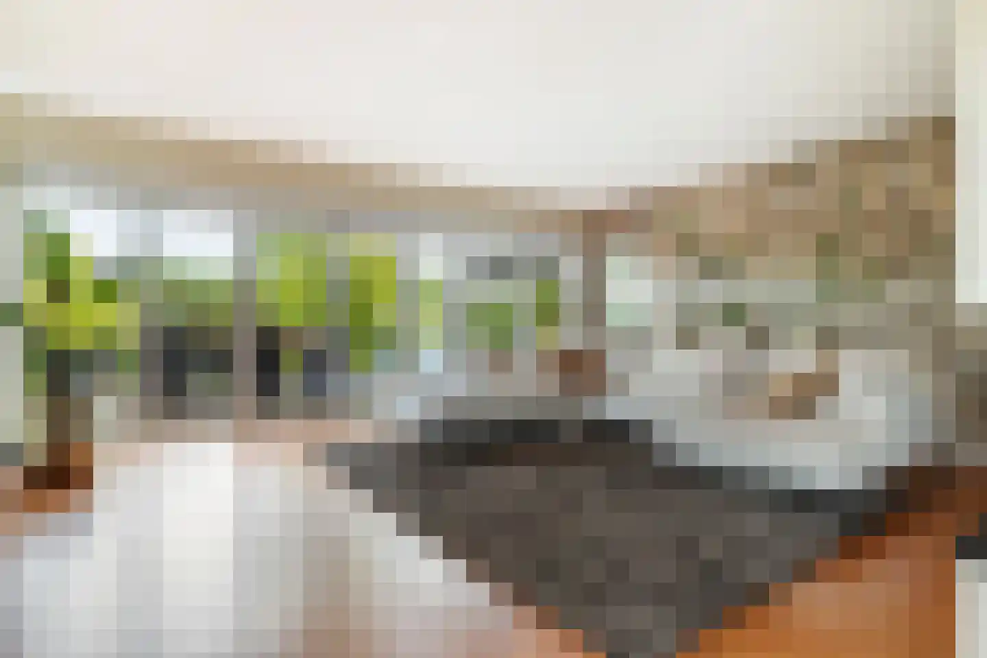 Jannetje Merbiskade 19 Rotterdam thumbnail 16
