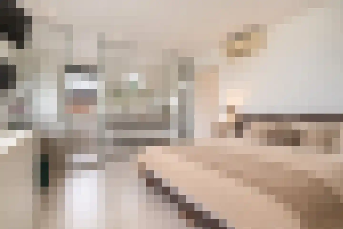 Jannetje Merbiskade 19 Rotterdam thumbnail 17