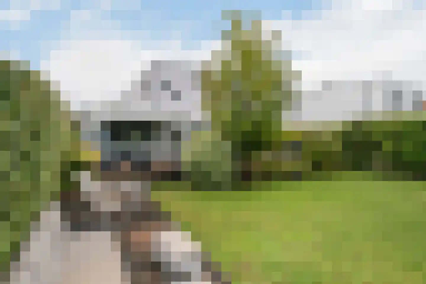 Jannetje Merbiskade 19 Rotterdam thumbnail 23