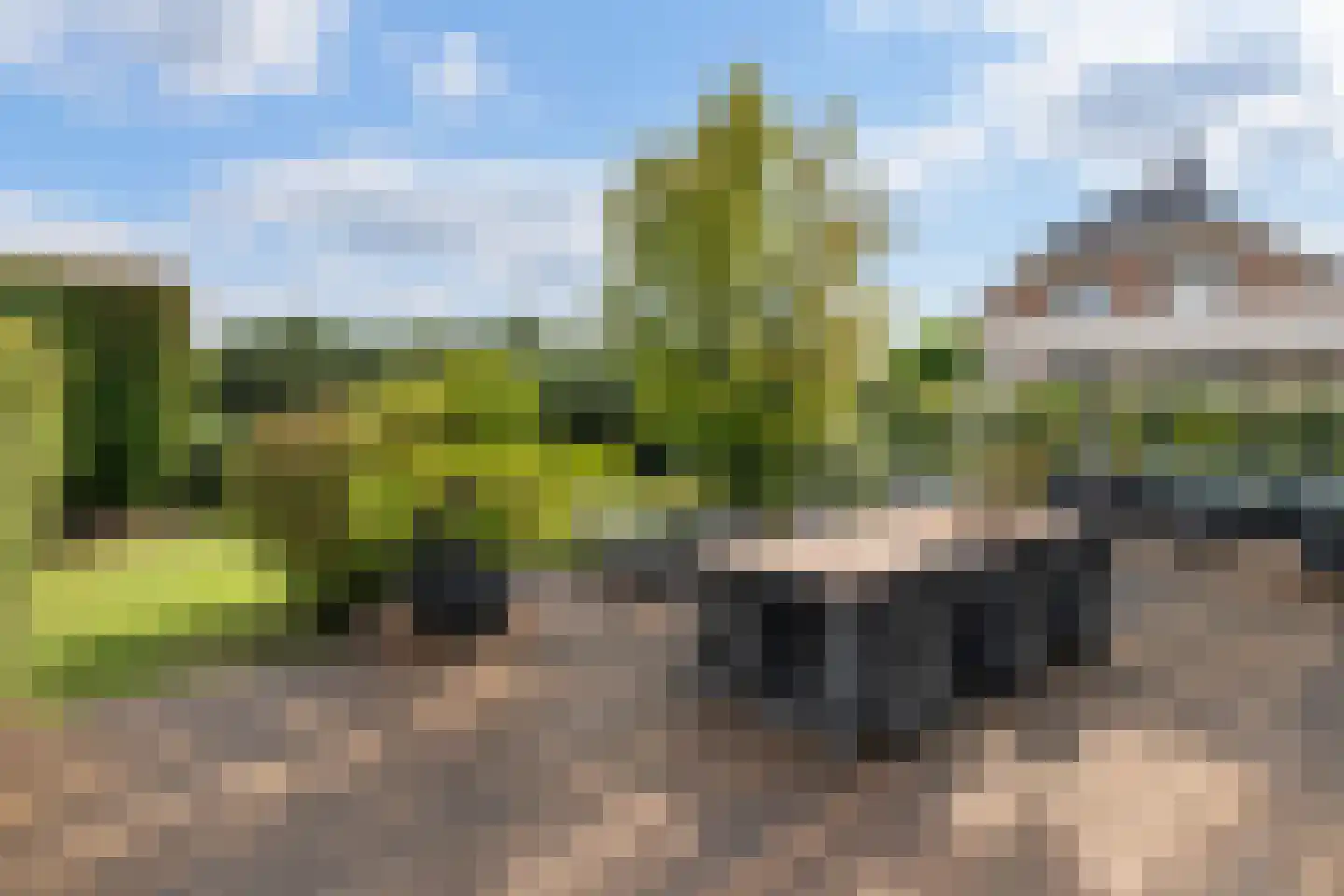 Jannetje Merbiskade 19 Rotterdam thumbnail 27