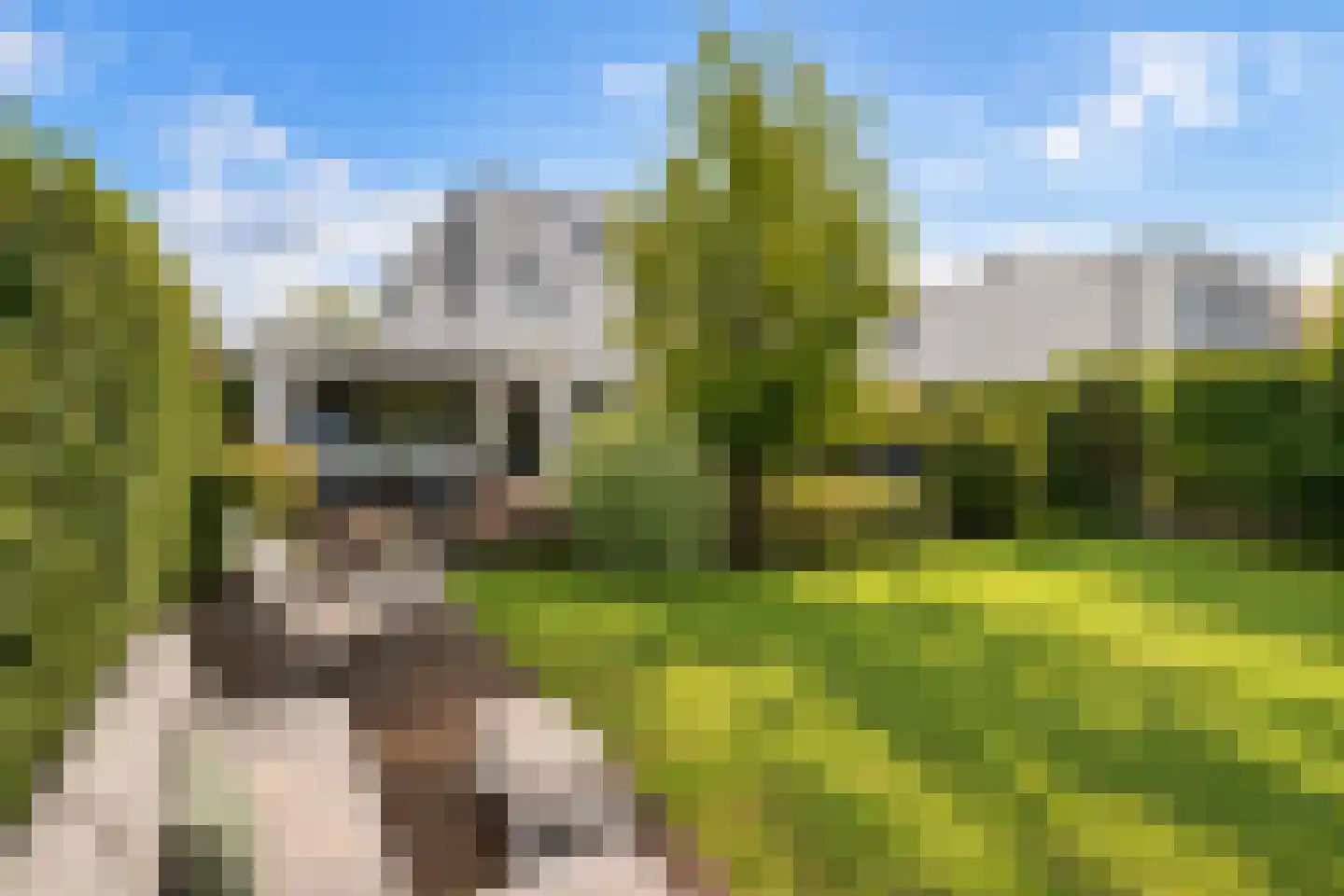 Jannetje Merbiskade 19 Rotterdam thumbnail 31