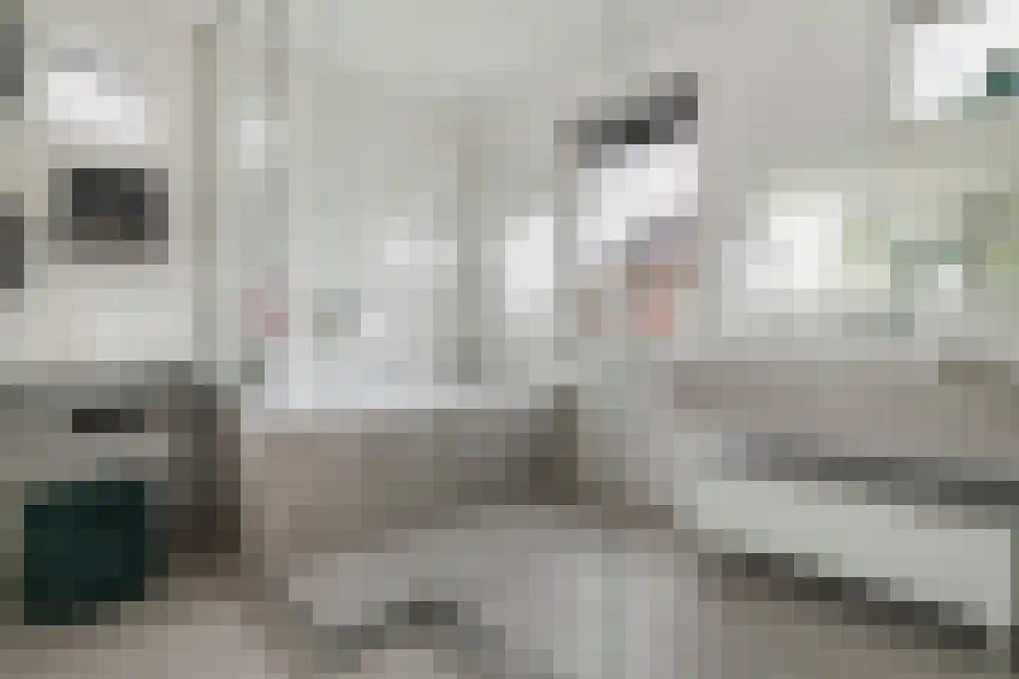 Jannetje Merbiskade 19 Rotterdam thumbnail 34
