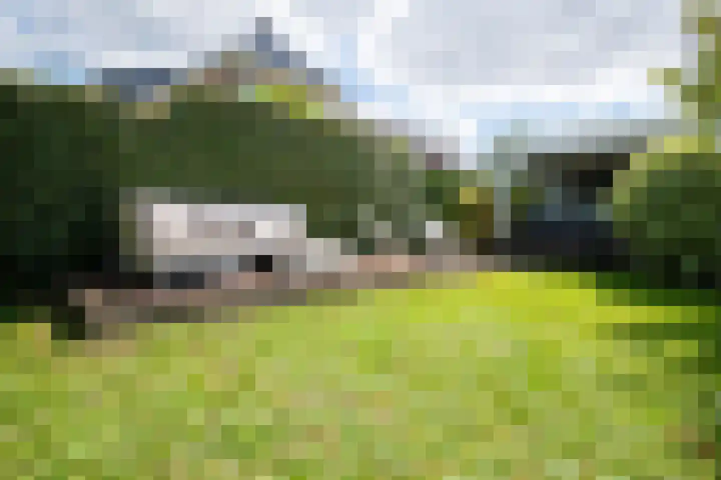 Jannetje Merbiskade 19 Rotterdam thumbnail 35