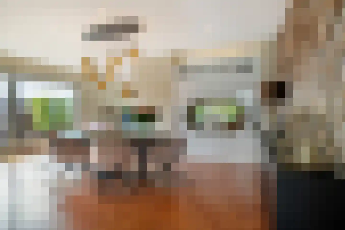 Jannetje Merbiskade 19 Rotterdam thumbnail 6