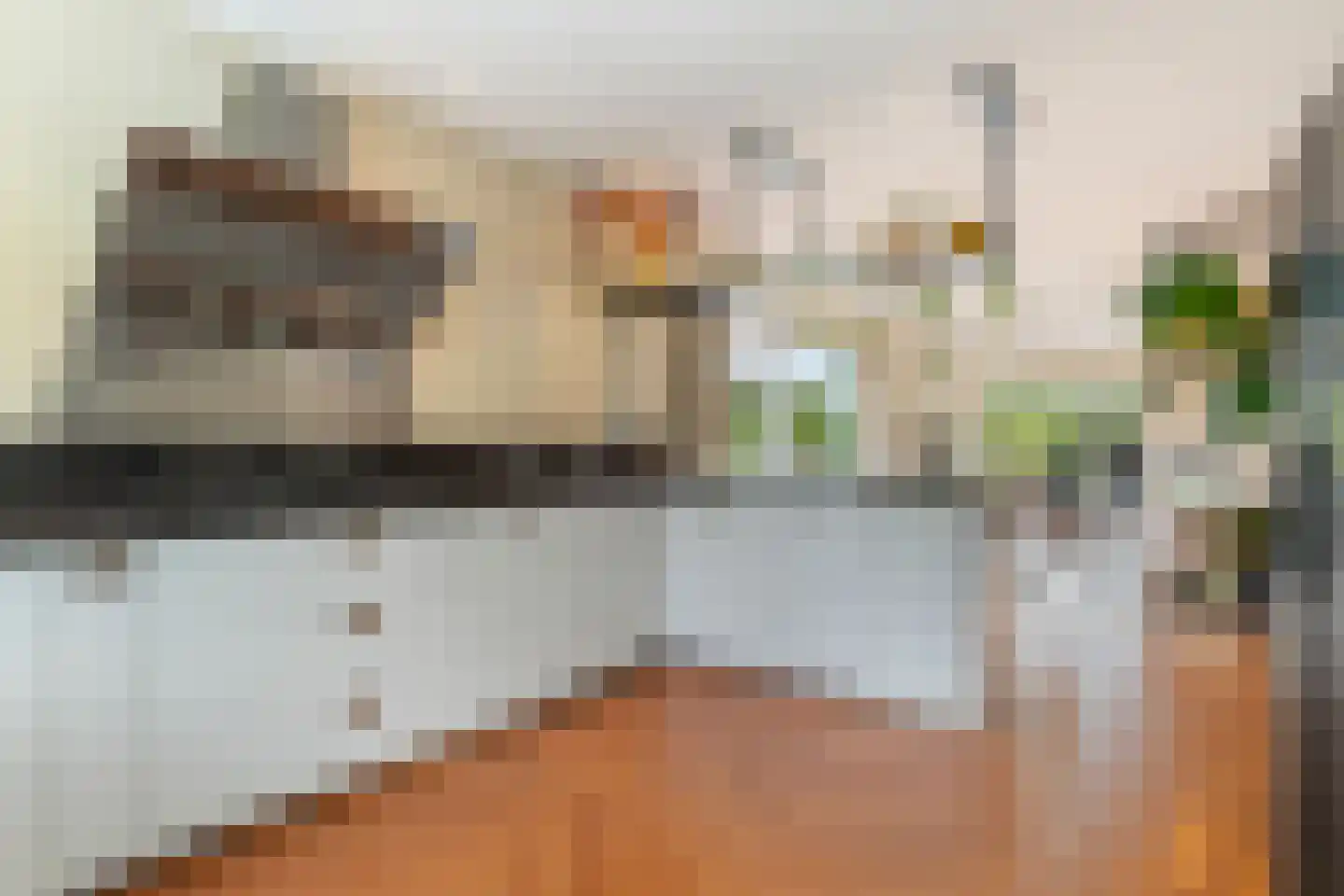 Jannetje Merbiskade 19 Rotterdam thumbnail 8