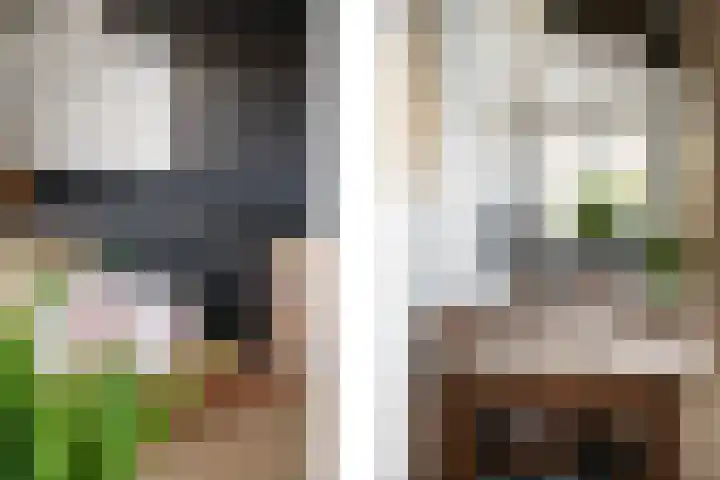 Jannetje Merbiskade 6 Rotterdam thumbnail 11