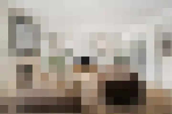 Jannetje Merbiskade 6 Rotterdam thumbnail 17