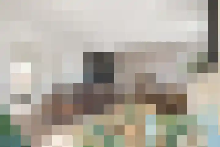 Jannetje Merbiskade 6 Rotterdam thumbnail 18