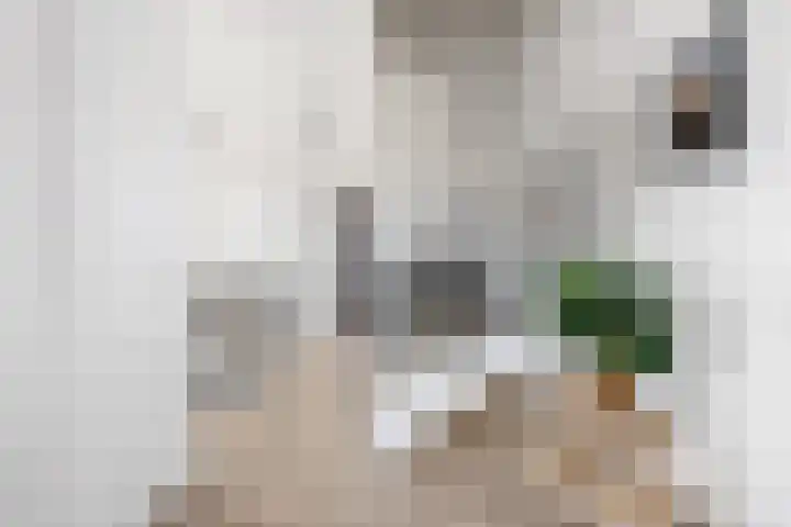Jannetje Merbiskade 6 Rotterdam thumbnail 20