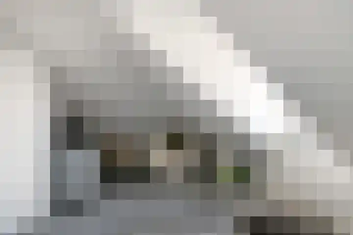 Jannetje Merbiskade 6 Rotterdam thumbnail 36