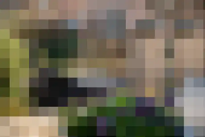 Jannetje Merbiskade 6 Rotterdam thumbnail 38