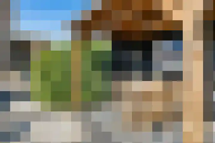 Jannetje Merbiskade 6 Rotterdam thumbnail 51