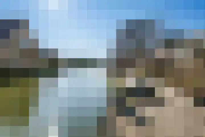 Jannetje Merbiskade 6 Rotterdam thumbnail 52