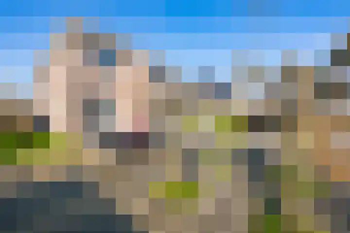 Jannetje Merbiskade 6 Rotterdam thumbnail 53