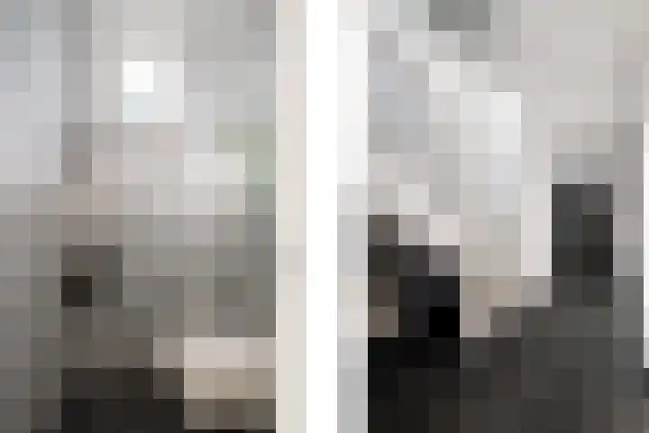 Jannetje Merbiskade 6 Rotterdam thumbnail 7