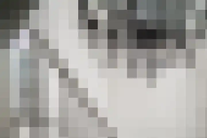 Jannetje Merbiskade 6 Rotterdam thumbnail 8