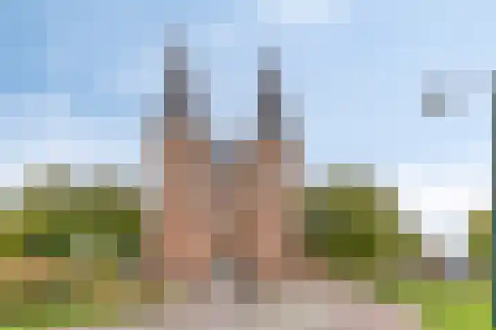 Jannewekken 1 0008 Zierikzee thumbnail 28