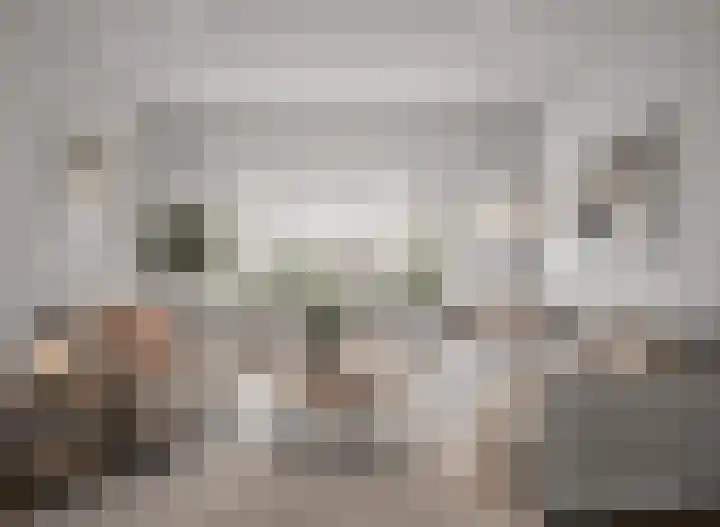Jannewekken 23 Zierikzee thumbnail 10